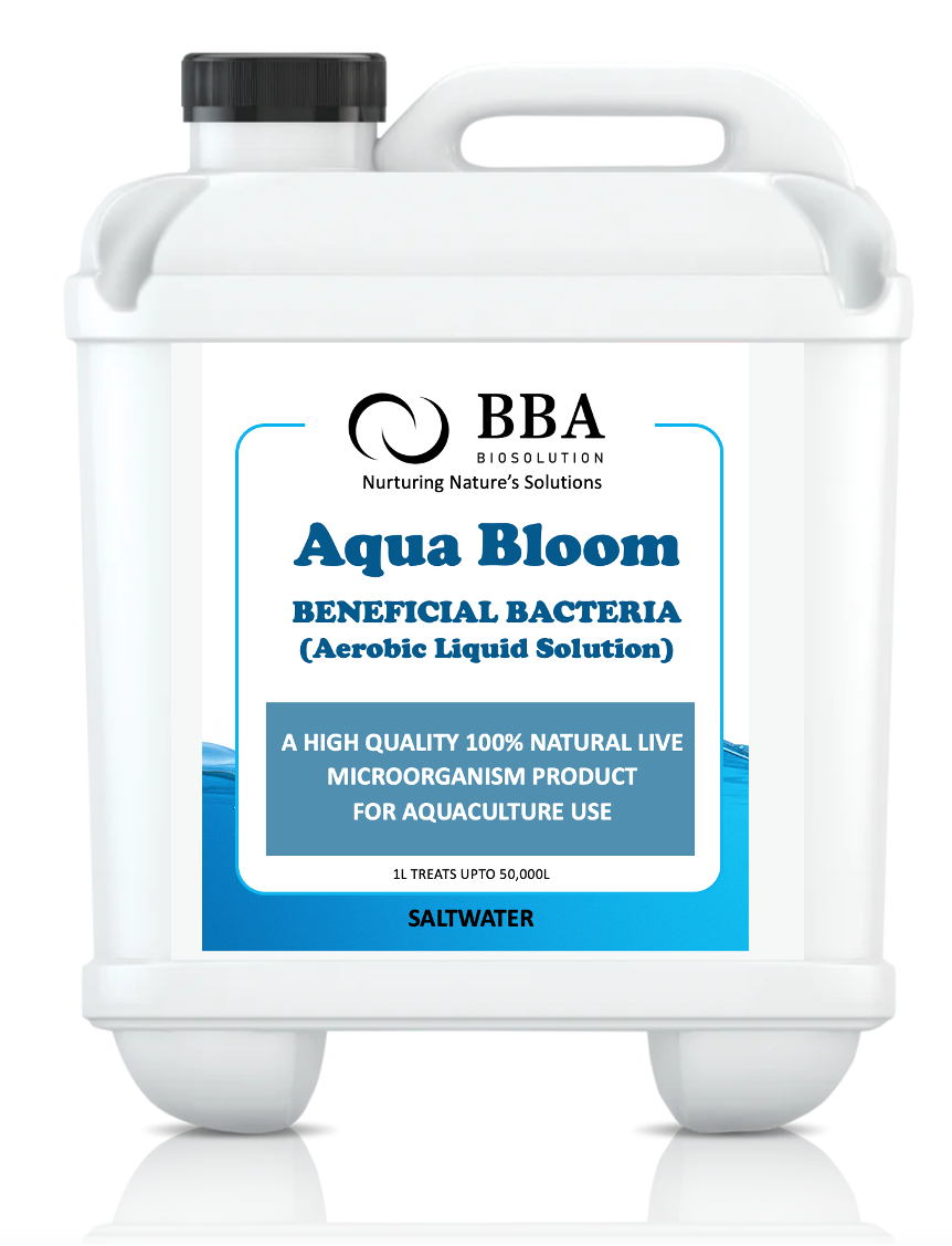 Aqua Bloom - Saltwater