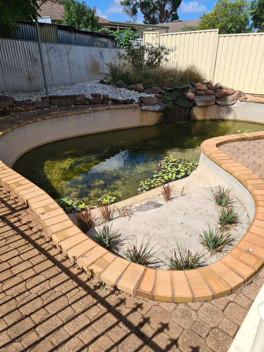 What Happens When a Heavily Neglected Pond Meets the Right Biology?
