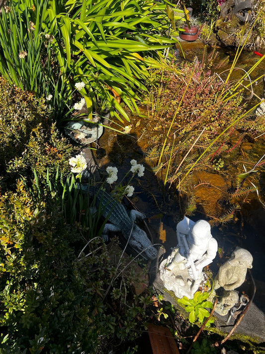Why Pond Problems Suddenly Appear in Spring – and How to Get Your Pond Ready for Summer