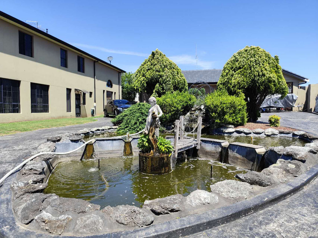 Persistent Green Water Following Warm Weather