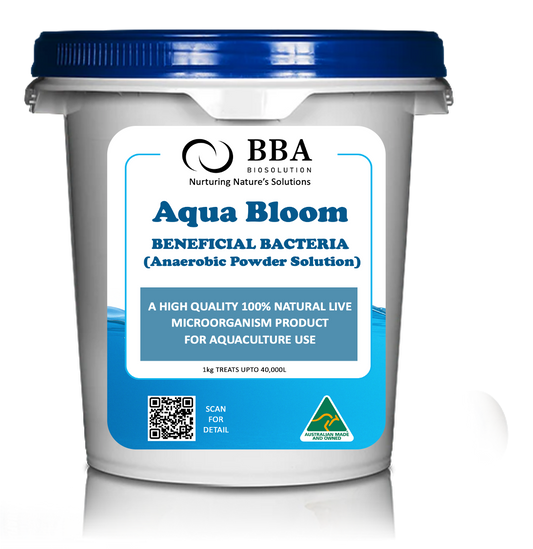 Aqua Bloom -Freshwater Powder Solution