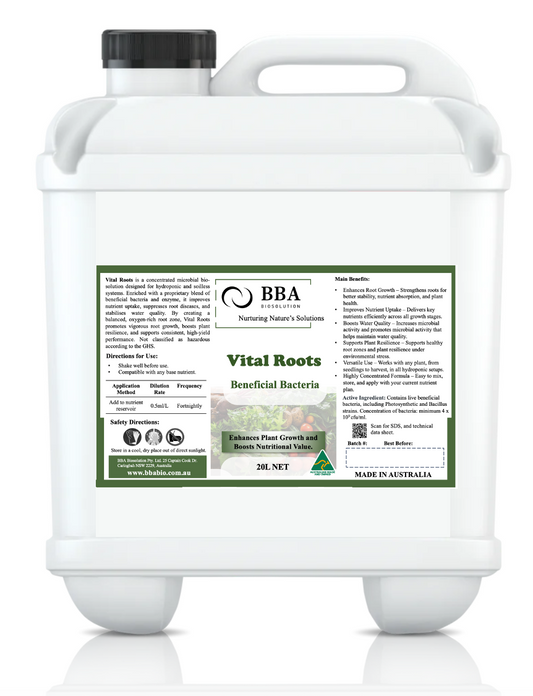 Vital Roots
