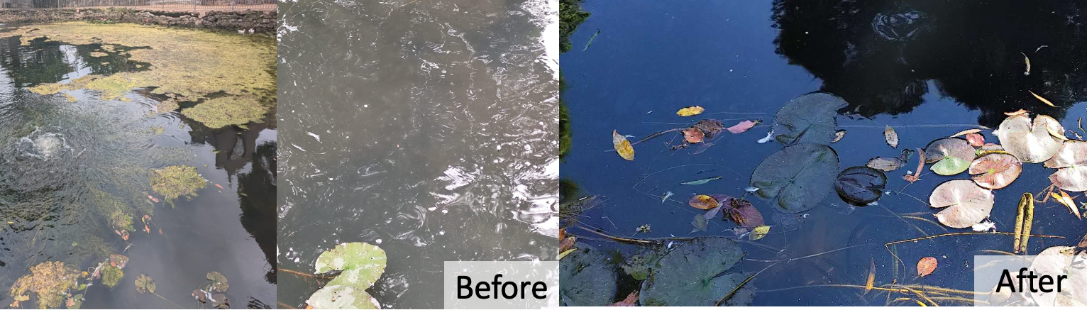 Large waterbody treatment